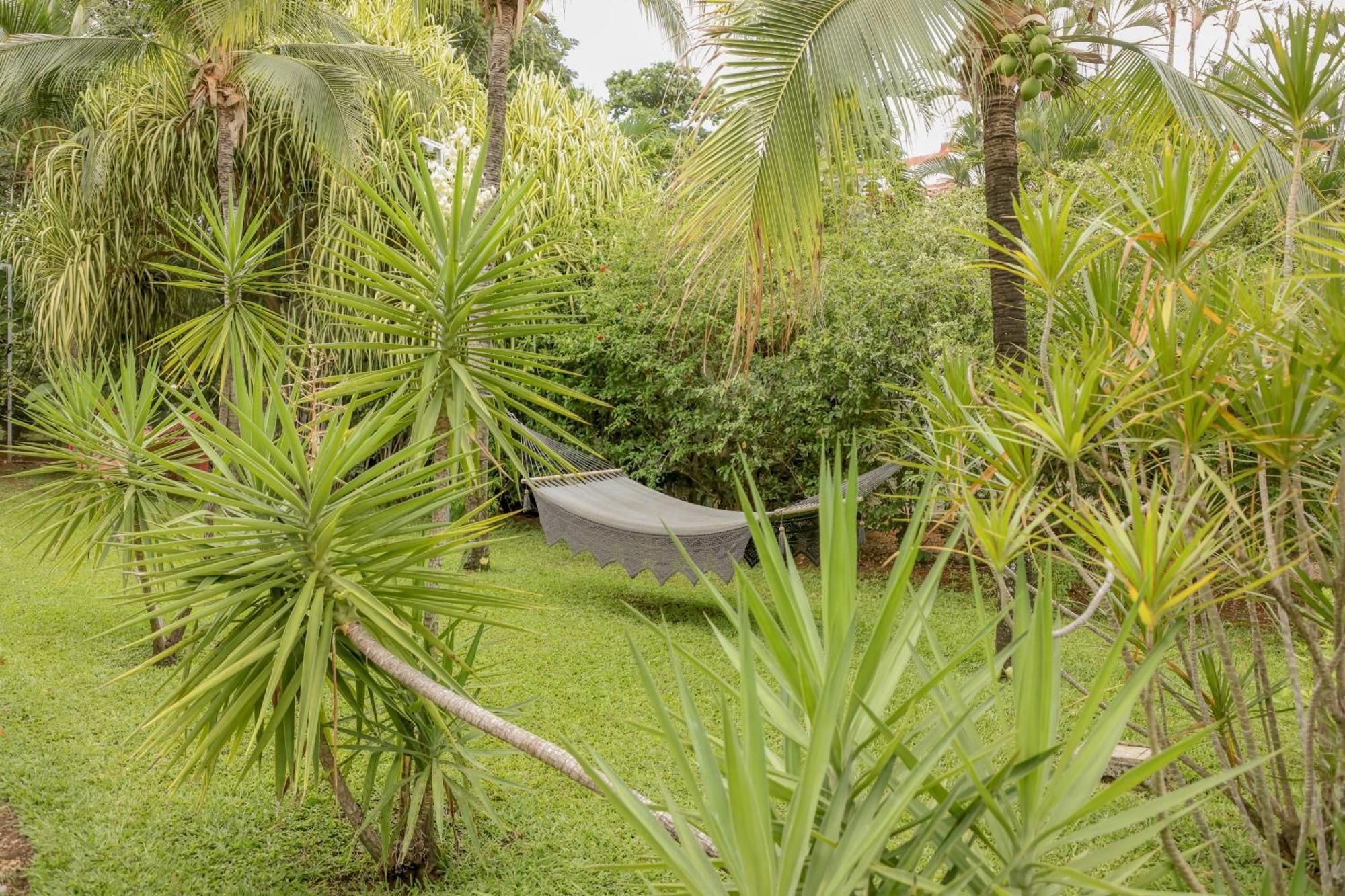 Hotel Villa Del Sol ココ エクステリア 写真